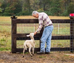Farmer Sentiment Darkens, Hopes Fade